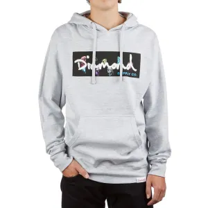 Color Box Logo Hoodie
